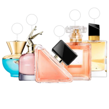 Combination of 5 women's - VP